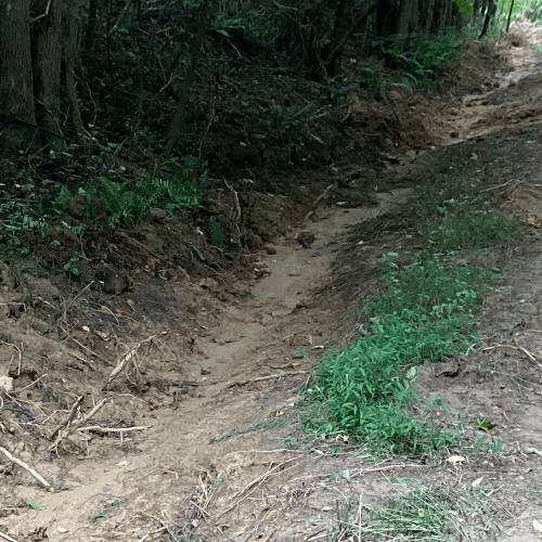 photo of improved ditch area
